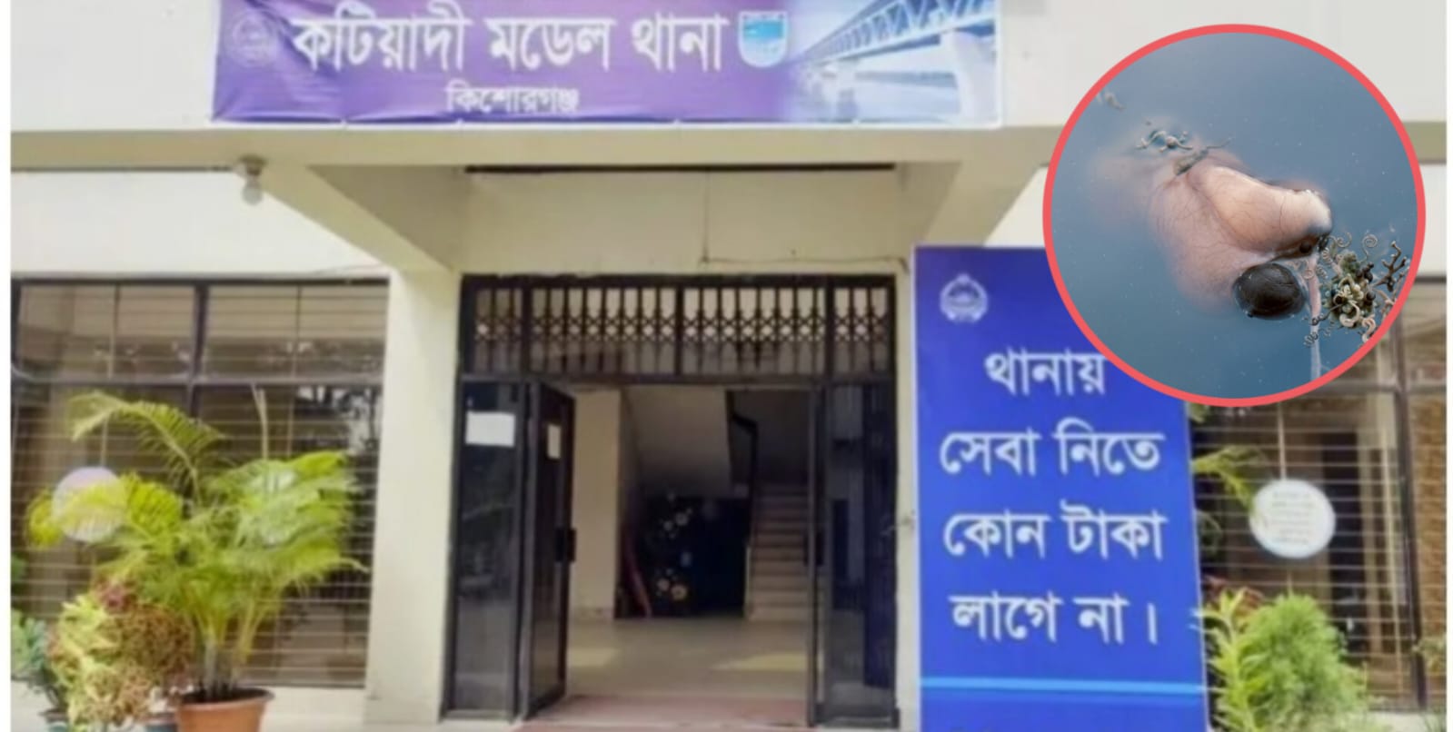 কটিয়াদীতে পুকুর থেকে এক ব্যক্তির ভাসমান মরদেহ উদ্ধার